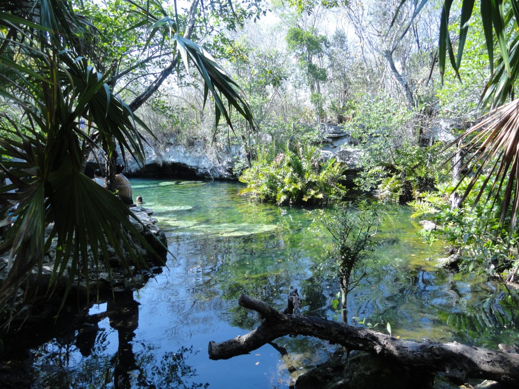 A Cenote on the highway between Playa del Carmen and Tulum